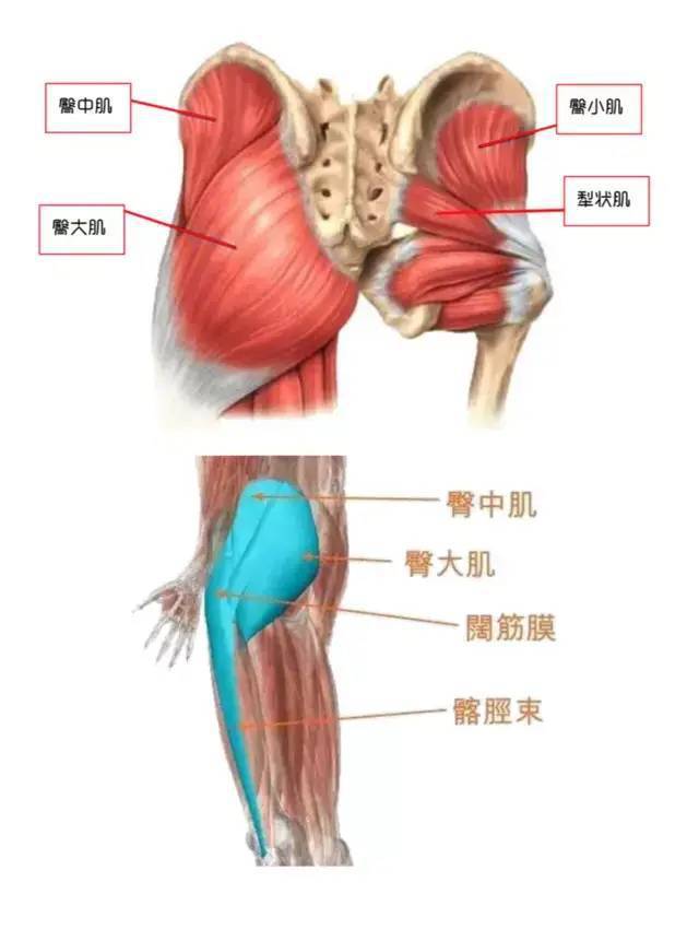 最新臀療手法視頻，探索臀部美麗與健康之道