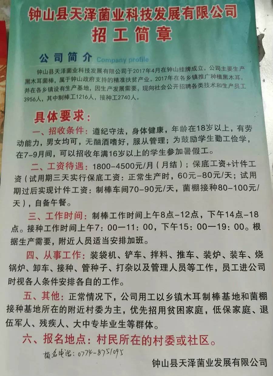 杜村最新招工信息及其社會影響分析