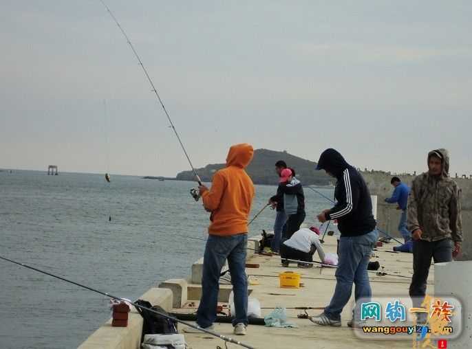 大連岸釣新地點指南