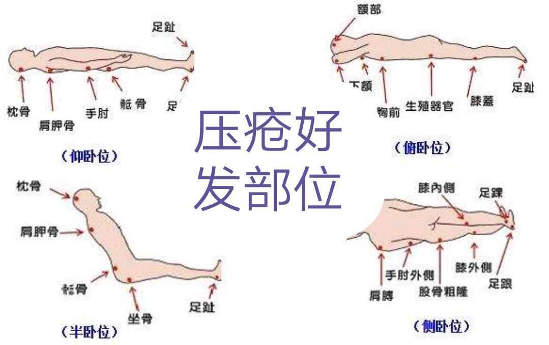 伴旅