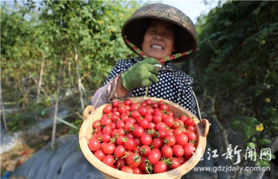 企水鎮(zhèn)最新新聞動態(tài)報道速遞