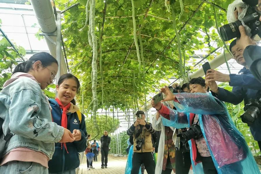 砂石鎮(zhèn)新領導團隊引領未來，塑造新篇章藍圖